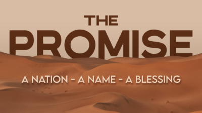The Promise (A Nation, A Name, A Blessing series #2)