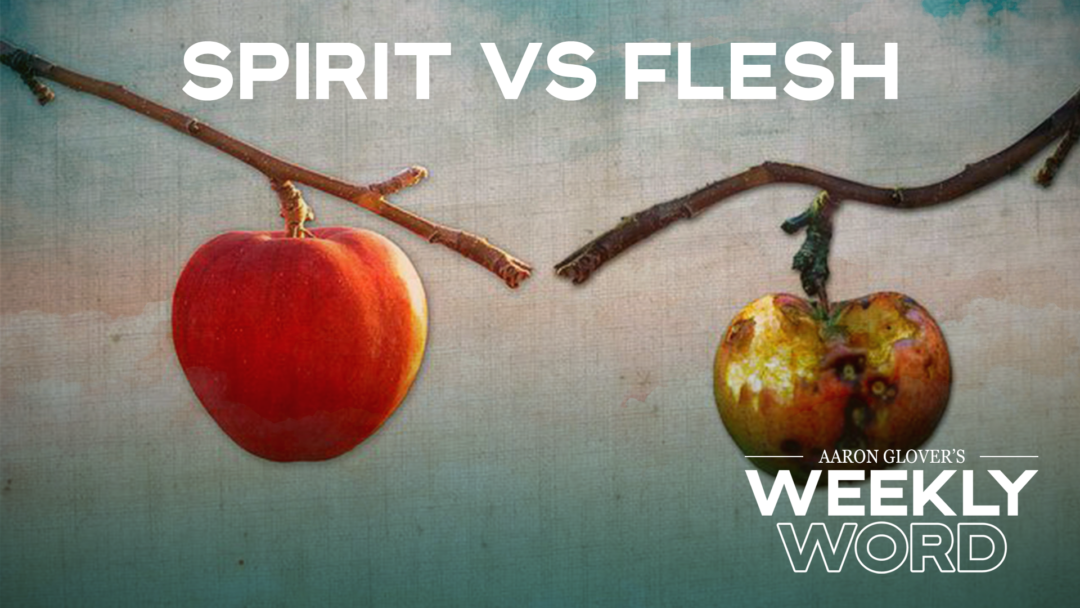 Spirit vs Flesh